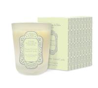 La Sultane de Saba - Vela de té (140 g), color verde