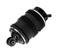 La suspensión del Paseo del Aire Brama la Parte Posterior del Bolso Compatible con la Clase de E W211 C