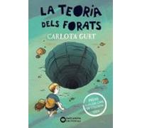 La teoria dels forats
