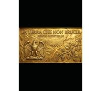 La terra che non brucia: Il crollo di Roma e il destino degli Anicii