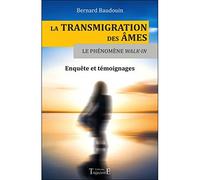 La Transmigration des âmes et le phénomène Walk-in