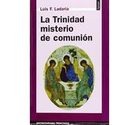 La Trinidad, misterio de comunión: 30 (Ágape)