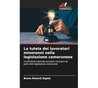 La tutela dei lavoratori minorenni nella legislazione camerunese: Insufficiente tutela dei lavoratori minorenni da parte della legislazione camerunese