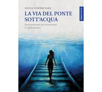 La via del ponte sott'acqua. Sette settimane per attraversare il cambiamento (Lanterne)