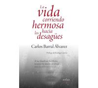 La vida corriendo hermosa hacia los desagües: 27 (Aura)