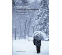 La Vida De Las Imágenes