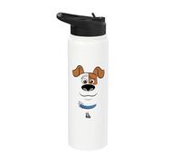 La vida secreta de las mascotas Max Big Face Stainless Steel Insulated Water Bottle