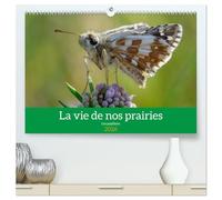 La vie de nos prairie, les papillons (Calendrier mural 2026 DIN A2 vertical) calendrier de bureau: Promenade dans nos prairies
