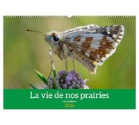 La vie de nos prairie, les papillons (Calendrier mural 2026 DIN A2 vertical), CALVENDO calendrier mensuel: Promenade dans nos prairies