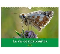 La vie de nos prairie, les papillons (Calendrier mural 2027 DIN A4 vertical), CALVENDO calendrier mensuel: Promenade dans nos prairies
