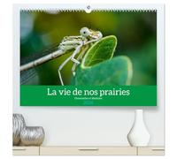 La vie de nos prairies - Demoiselles et libellules (Calendrier mural 2026 DIN A2 vertical) calendrier de bureau: À la découverte des petites bêtes de nos prairies