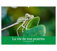 La vie de nos prairies - Demoiselles et libellules (Calendrier mural 2026 DIN A2 vertical), CALVENDO calendrier mensuel: À la découverte des petites bêtes de nos prairies