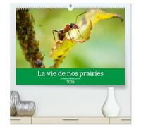 La vie de nos prairies - Le monde des fourmis (Calendrier mural 2026 DIN A2 vertical) calendrier de bureau: Voici un petit regard sur la vie fascinante des fourmis