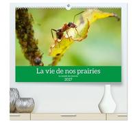 La vie de nos prairies - Le monde des fourmis (Calendrier mural haut de gamme 2027 DIN A2 vertical), CALVENDO calendrier mensuel