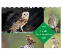 La vie des chouettes, les dames de la nuit (Calendrier mural 2026 DIN A3 vertical), CALVENDO calendrier mensuel: Partez à la découverte des chouettes en images