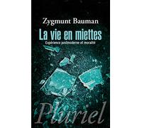 La vie en miettes: Expérience postmoderne et moralité