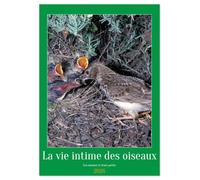 La vie intime des oiseaux Les oiseaux et leurs petits (Calendrier mural 2026 DIN A3 horizontal), CALVENDO calendrier mensuel: Rencontre avec les oiseaux de nos contrées