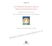 La visione segreta della nuda consapevolezza. «I precetti in otto capitoli» (testo Dzogchen dalla trasmissione orale dello zhangzhung)
