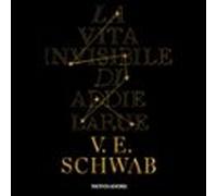La Vita Invisibile Di Addie La Rue