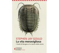 La vita meravigliosa (Universale economica. Saggi)