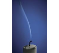 La vita: (spiegata alle piante da giardino)