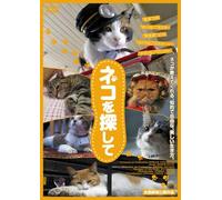 La Voie du Chat [DVD de Audio]