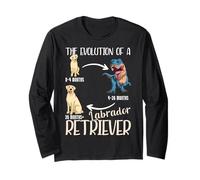 Lab Dog The Evolution of A Labrador Retriever Manga Larga