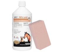 LAB-V Aceite de linaza Leinöl para caballos, perros y gatos 1000ml & Kerbl Delizia Rock Salt Lick para caballos, caja de 4 x 2 kg