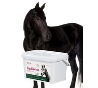 Lab-v EquiDerma - Mezcla alimenticia complementaria para caballos y ponis que favorece el buen estado de la piel, el pelaje y los cascos, 2 kg