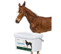 Lab-v EquiJunior - Mezcla de piensos complementaria para potros, que favorece el crecimiento, el desarrollo y la nutrición adecuada de caballos jóvenes y ponis, 2 kg