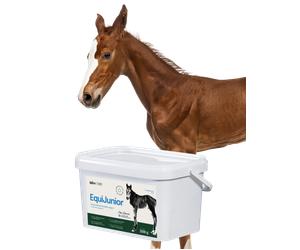 Lab-v EquiJunior - Mezcla de piensos complementaria para potros, que favorece el crecimiento, el desarrollo y la nutrición adecuada de caballos jóvenes y ponis, 2 kg