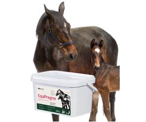 Lab-v EquiPregna - Alimento complementario para yeguas gestantes y lactantes para favorecer la gestación, el desarrollo fetal y la producción de leche 2kg