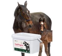 Lab-v EquiPregna - Mezcla alimenticia complementaria para yeguas gestantes y lactantes, que favorece el desarrollo de la gestación, el crecimiento del feto y la producción de leche, 2 kg