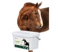 Lab-v EquiVit - alimento dietético para caballos, refuerza la inmunidad y las articulaciones 2kg