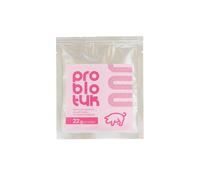 LAB-V Probiótico - Mezcla alimenticia complementaria para cerdos destinada a estabilizar el funcionamiento del tracto digestivo, 22 g