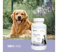 LAB-V Thyron - Apoyo a la función tiroidea normal para perros y gatos 90 cápsulas