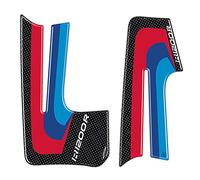 LABELBIKE - 2 Pegatinas 3D Resina Decoraciones y Protecciones Laterales Rally Moto Compatible con BMW R1200R hasta 2015