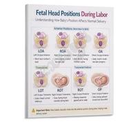 Labor and Delivery Reference Poster Fetal Head Stations Guide Canvas Print for Hospital Maternity Ward Decor(Unframed,12x18inch(30x45cm))