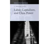Labor, Capitalism, and Class Power: 356 (Studies in Critical Social Sciences, 356)