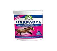 LABORATOIRES AUDEVARD 920-1597 Harpagyl 450G Audevard