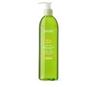 Laboratorios Babé - Gel de Aloe Vera Puro 395 ml | Refrescante, Hidratante, Calmante y Regenerante | Ideal para Exposición Solar, Afeitado, Depilación y Tratamientos Médico-Estéticos