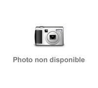 Labounty, Bill - Rain in My Life -Ltd-