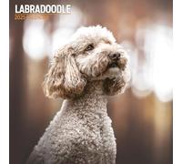 Labradoodle - Calendario tradicional 2025