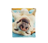 Labrador durmiendo, Squeeze Top Wallet Bolsa de Almacenamiento para Mujer Monedero pequeño Bolsa de Cambio