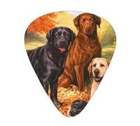 Labrador Labrador Golden Retriever Perro Agradeciendo Otoño,12 púas de guitarra, 3 grosores diferentes para guitarra acústica, bajo y ukelele