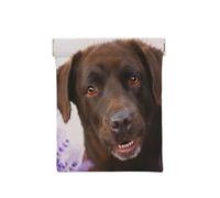 Labrador Marrón Lavanda Perros Retriever, Squeeze Top Wallet Bolsa de Almacenamiento para Mujer Monedero pequeño Bolsa de Cambio