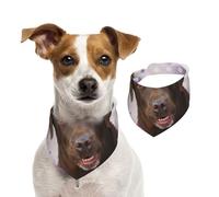Labrador marrón, Perro cobrador de Lavanda,Pañuelos de algodón para Perros, Bufandas Ajustables para Mascotas,M