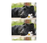 Labrador Negro Manzanilla Perros Retriever Negros, Rompecabezas de 1000 Piezas, Rompecabezas de Madera para Toda la Familia, decoración de Pared para Adultos y Adolescentes.