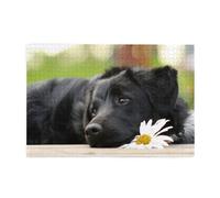 Labrador Negro Manzanilla Perros Retriever Negros, Rompecabezas de 1000 Piezas, Rompecabezas de Madera para Toda la Familia, decoración de Pared para Adultos y Adolescentes.