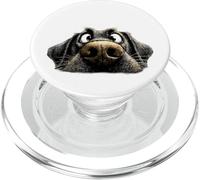 Labrador Negro 'Schmoozing' PopSockets PopGrip para MagSafe